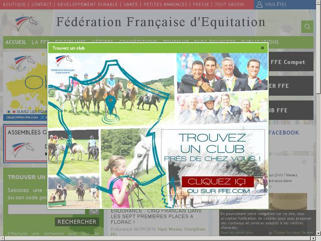 Fédération francaise d'equitation /french equestrian federation