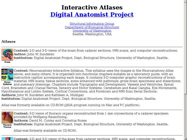 Interactive atlases : digital anatomist program