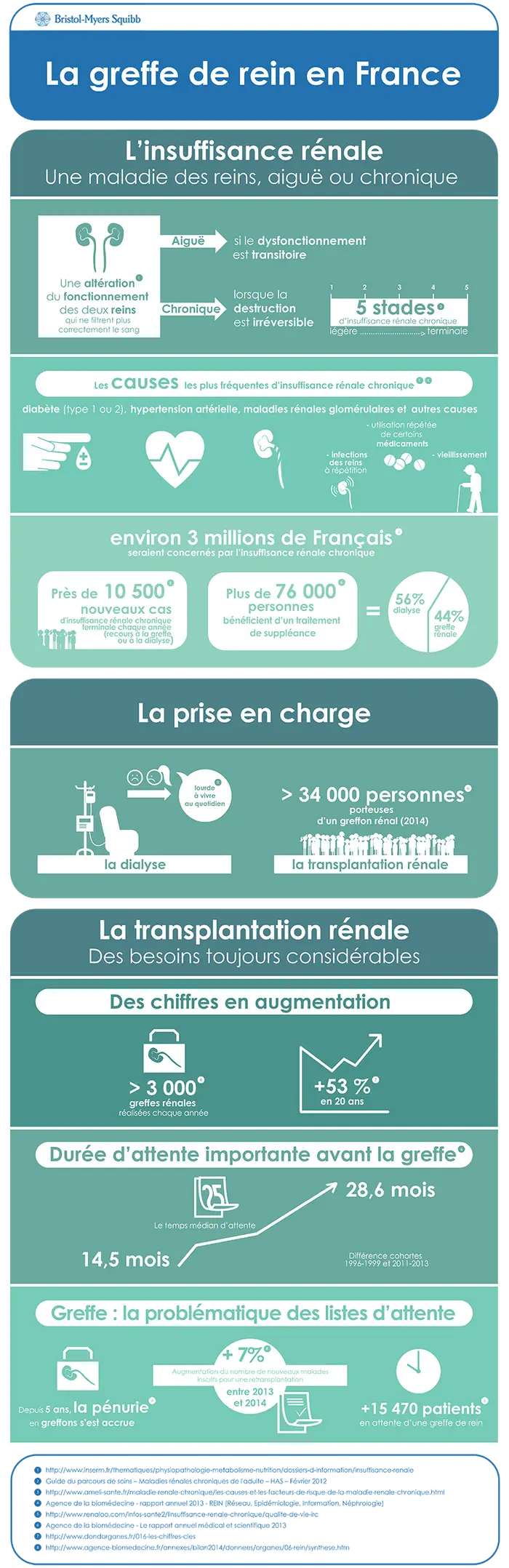 La transplantation rénale en France : des besoins toujours croissants