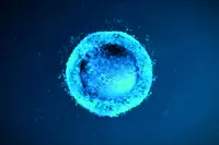 Cancer de la prostate : feu vert de la FDA pour un essai clinique évaluant l’ablation focale via des nanoparticules magnétiques