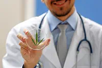 Les laboratoires Dr. Reddy’s et MediCane Health annoncent le lancement de divers produits à base de cannabis thérapeutique, en Allemagne