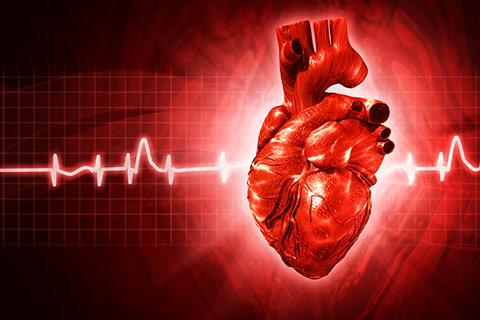 Le risque de valvulopathies aortiques est correlé à une prédisposition génétique au mauvais cholestérol LDL-C