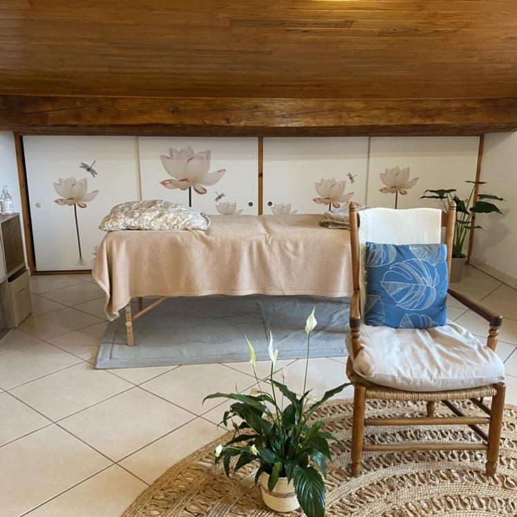 Beau cabinet lumineux, pont des demoiselles, toulouse — photo 2