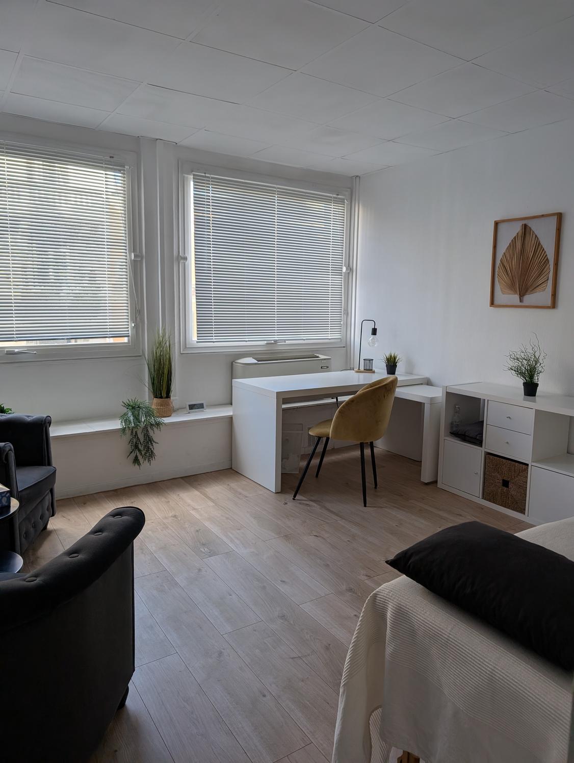 Partage bureau très lumineux hyper centre de nice