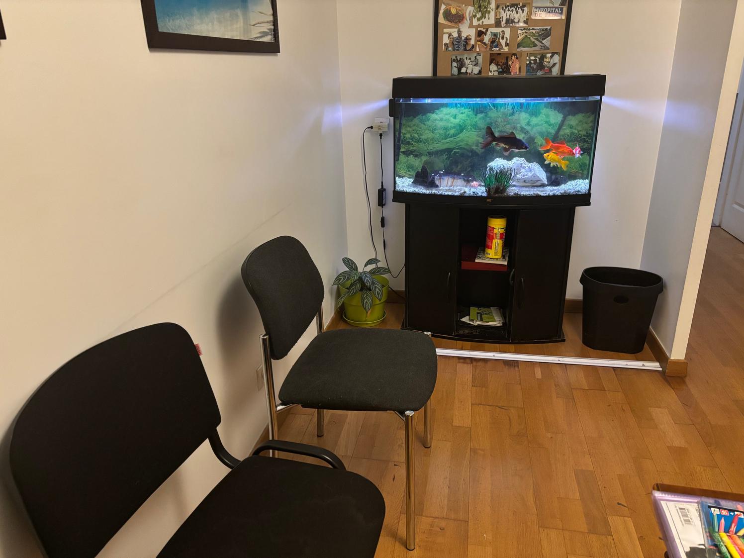 Bureau partagé dans un centre de psychothérapie à toulouse borderouge — photo 4