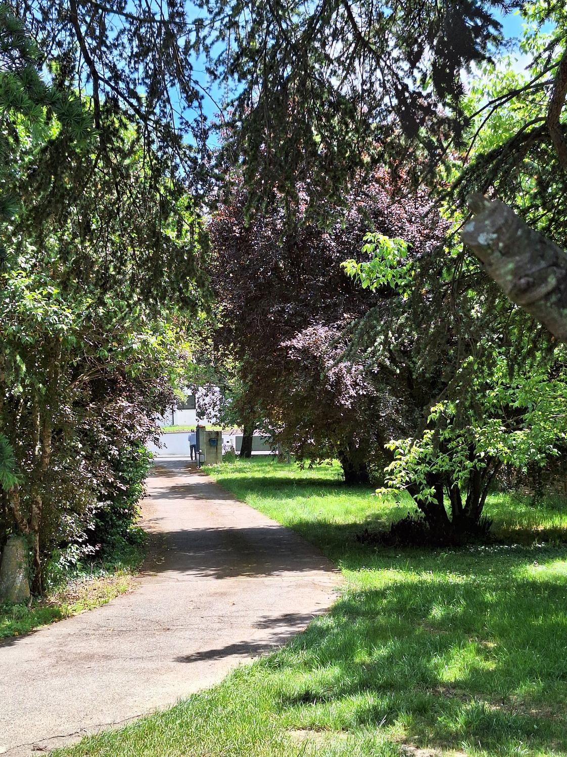 Bureaux paramédicaux dans un parc arboré, Balma — photo 5
