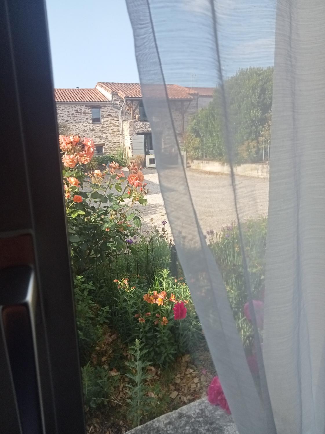 Local paramédical avec jardin, Monnières — photo 5