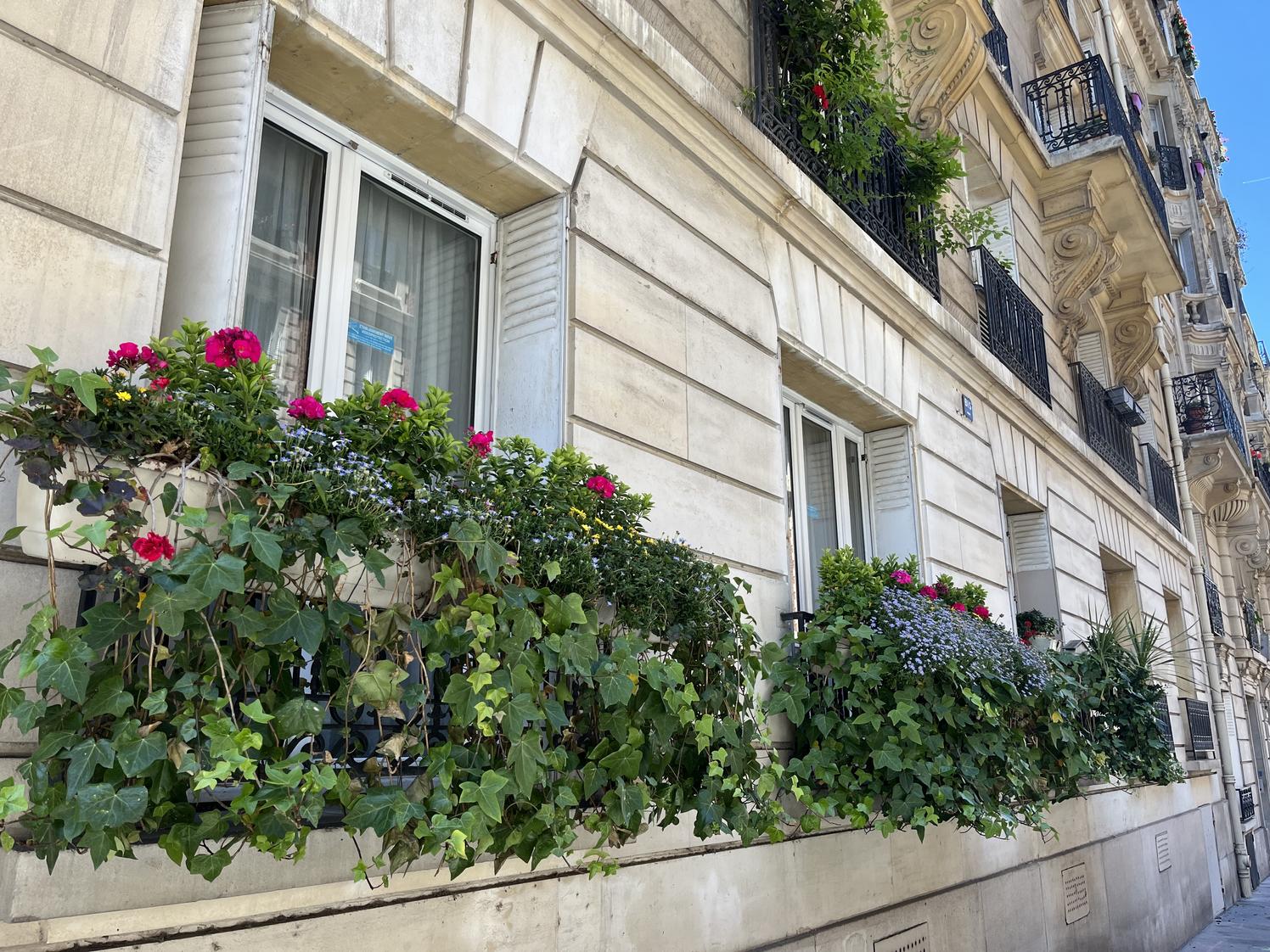 Pièce de 18 m² pour psychologue à Montparnasse, Paris 15e — photo 2