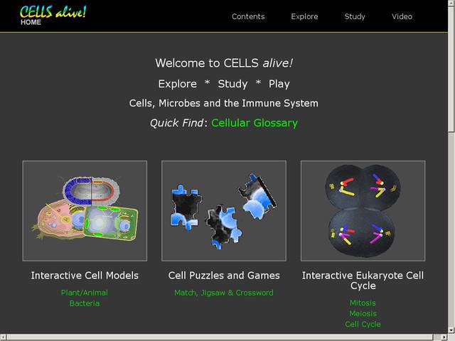 Cells alive