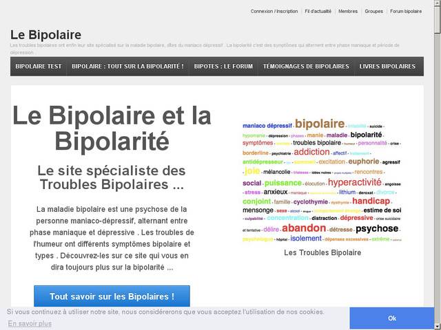 Le bipolaire : expert en maniaco-dépression