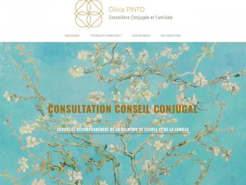 CONSULTATION CONSEIL CONJUGAL