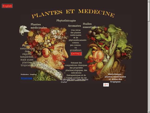 Phytothérapie : plantes médoicinales, huile 
essentielles, épices et aromates