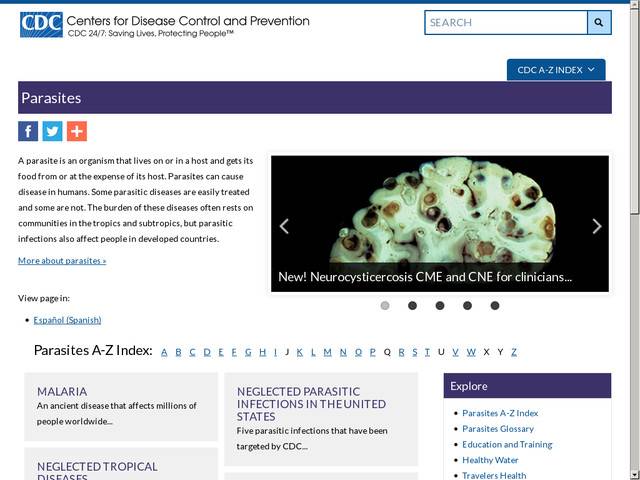 Schistosomiasis : fact sheet