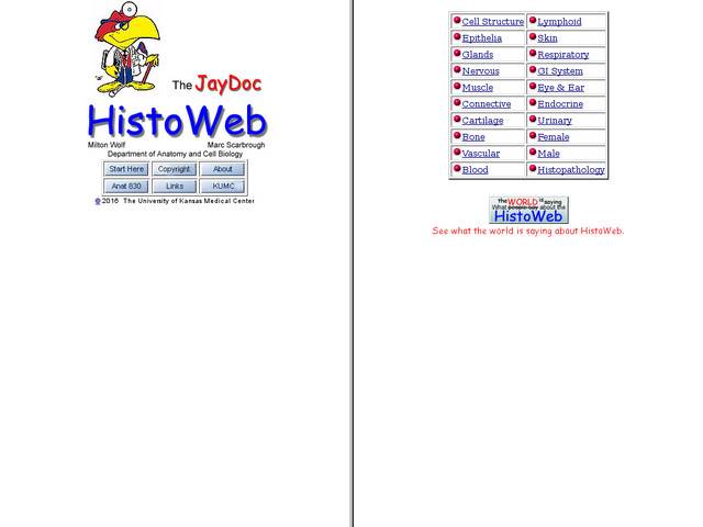 The jay doc histo web