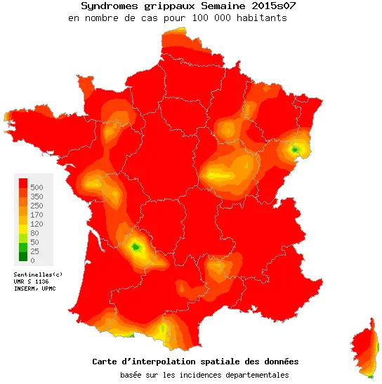 Grippe : face à l'ampleur de l'épidémie, le ministère de la santé lance un plan d'urgence sanitaire