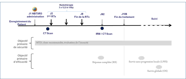 NANOBIOTIX :démarre un essai clinique de phase I/II dans les cancers primitifs t métastatiques du foie avec son produit NBTXR3