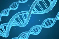 Trisomie 21 : La HAS définit la place du test de dépistage ADN libre circulant