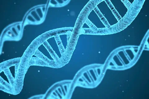 Trisomie 21 : La HAS définit la place du test de dépistage ADN libre circulant