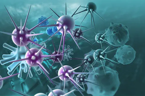 Réguler ou stimuler nos anticorps selon nos besoins immunitaires sera bientôt possible