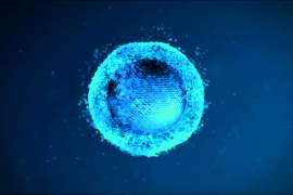 Cancer de la prostate : feu vert de la FDA pour un essai clinique évaluant l'ablation focale via des nanoparticules magnétiques