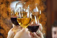 « Le vin est un alcool comme un autre» selon Agnès BUZYN