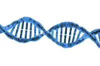 DNA Script annonce une première mondiale : la synthèse enzymatique d’un fragment d’ADN ultra-pur de 150 nucléotides de longueur