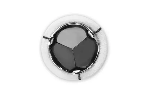 Novostia lève CHF 6.5 millions pour réaliser les premiers essais cliniques de sa valve cardiaque