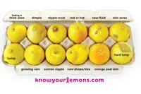 Seno Medical et « Know Your Lemons » font équipe pour une éducation sur le cancer du sein