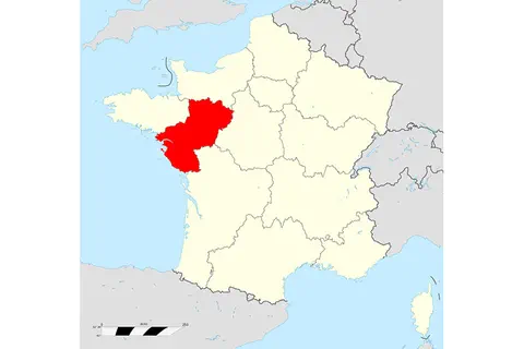 #Covid-19 : situation épidémiologique dans les Pays de la Loire