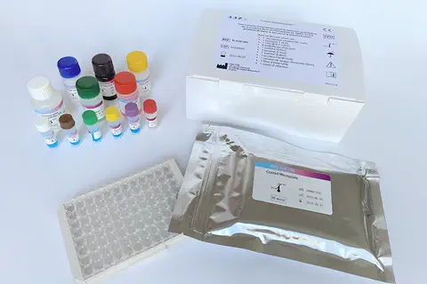 Première mondiale : un test antigénique détecte le #Coronavirus SARS-CoV-2 à partir d’un échantillon de sang