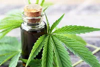 Cannabis thérapeutique : l’Académie de Pharmacie déplore le manque de rigueur scientifique de l’expérimentation en cours
