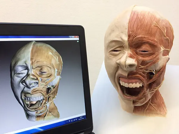 COVID-19 : Comment le scan 3D fait avancer la formation médicale