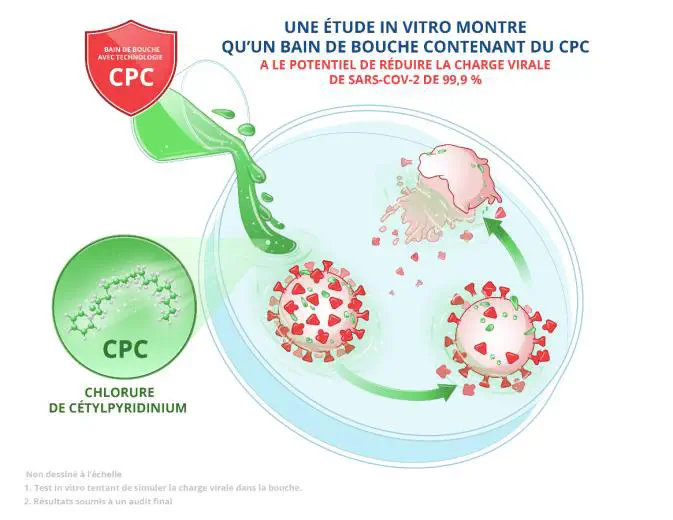 De nouvelles données en faveur de l’utilisation du bain de bouche contre la transmission du SARS-CoV-2