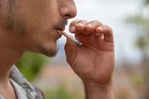 Cannabis « récréatif » : les académies de médecine et de pharmacie dénoncent une consultation citoyenne en conflit évident avec la santé publique