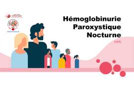 Hémoglobinurie paroxystique nocturne : première enquête patient