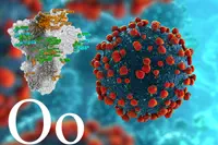 Omicron ou B.1.1.529 : le point sur le nouveau variant « préoccupant » du Coronavirus SARS-COV-2
