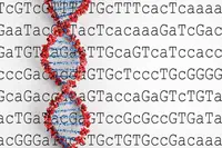 Le séquençage du génome entier permet de détecter de manière fiable les maladies neurologiques héréditaires les plus courantes