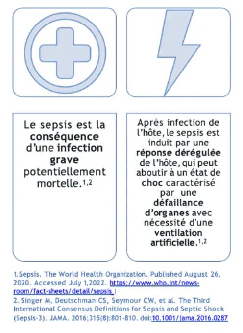 Le point sur le sepsis avec les Pr Meziani et Ehrmann du réseau F-Crin