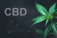 CBD : l’académie de médecine fait le point sur les effets indésirables