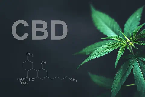 CBD : l’académie de médecine fait le point sur les effets indésirables