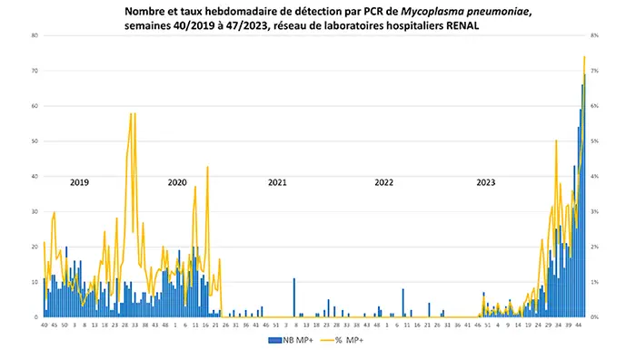 infections à Mycoplasma pneumoniae : SPF décrit un pic épidémique