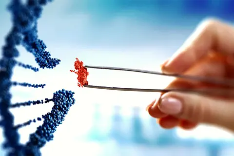 Séquençage haut débit : le centre Léon Bérard renforce le diagnostic moléculaire par biopsie liquide