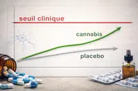 Cannabis th&eacute;rapeutique : la &laquo; petite am&eacute;lioration &raquo; qui ne franchit pas le seuil clinique